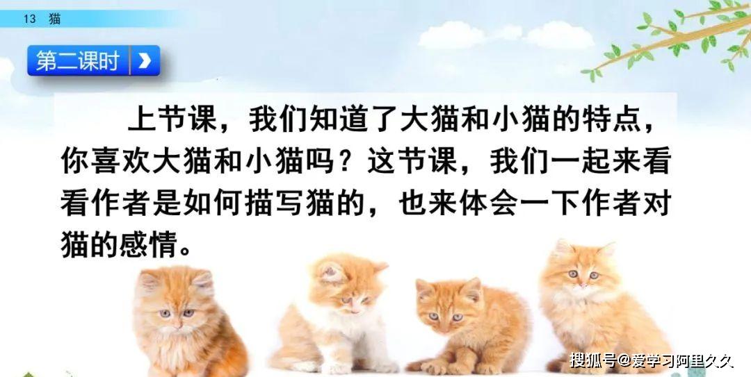 猫生是什么成语_这是什么成语看图