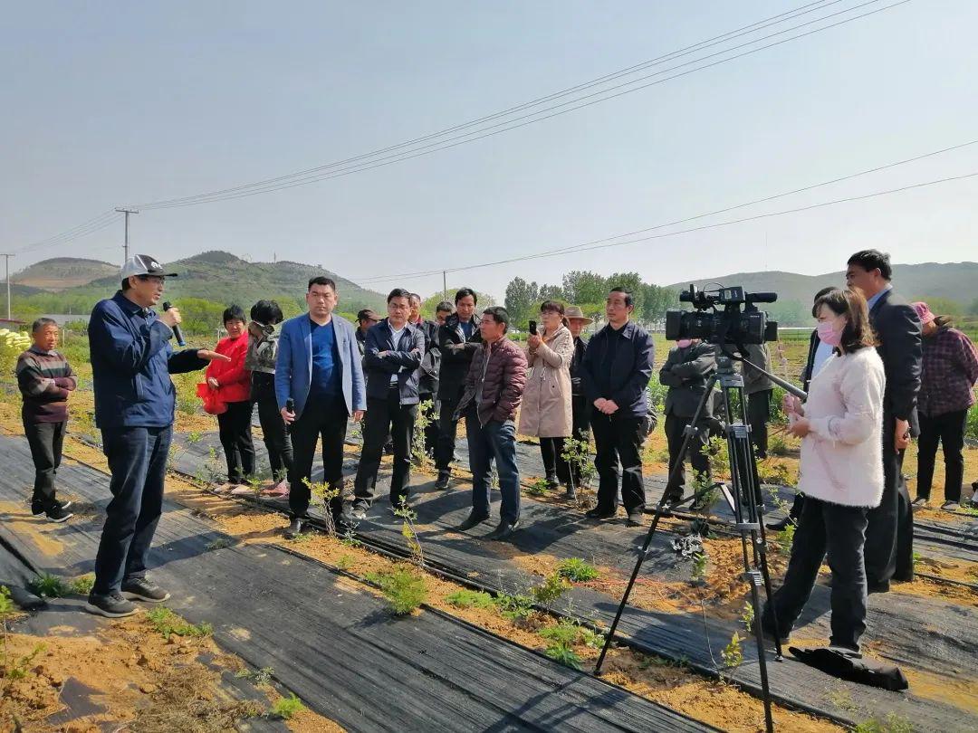 农业专家服务基层助力乡村产业振兴