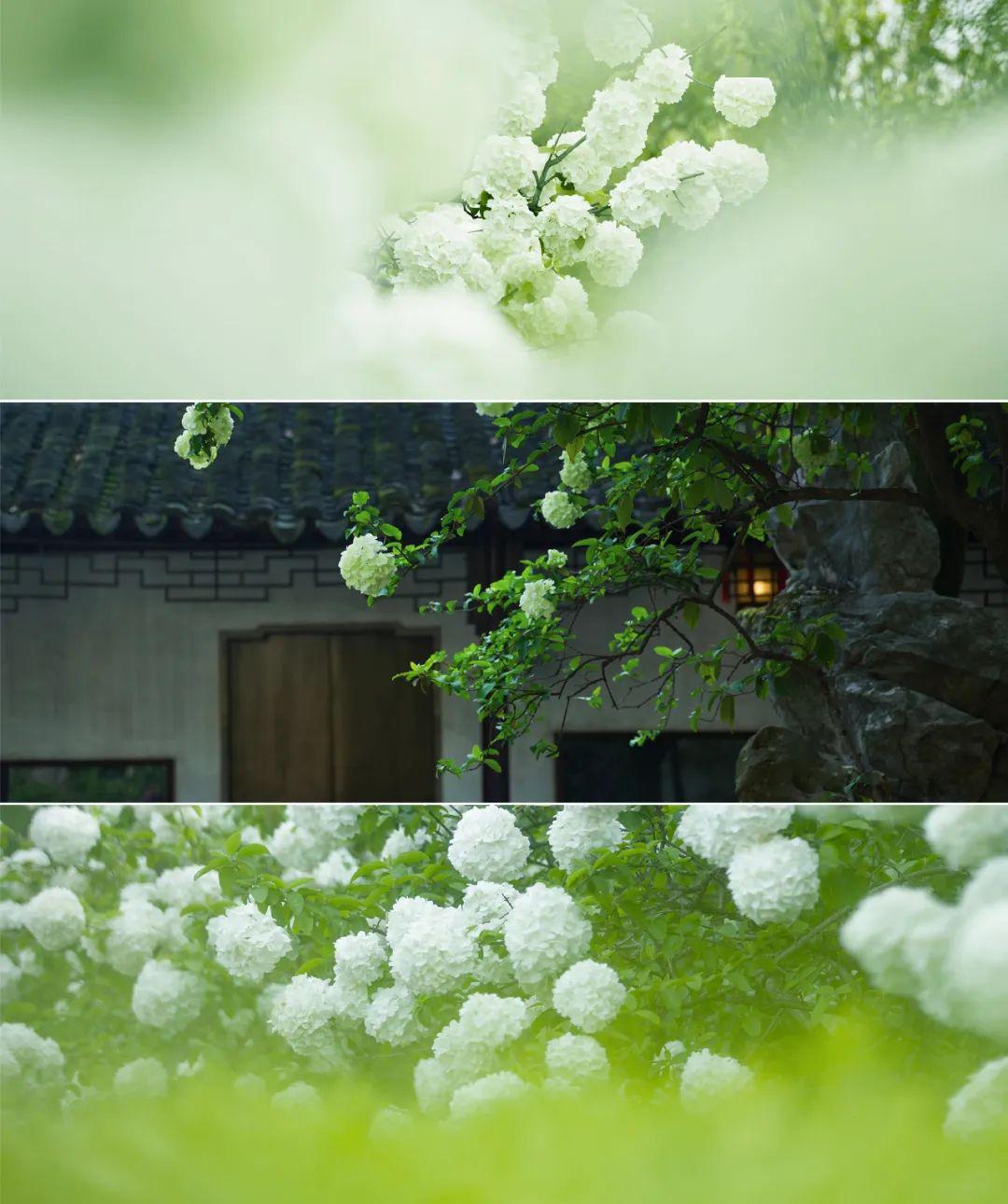 心存正念，自辟福田。