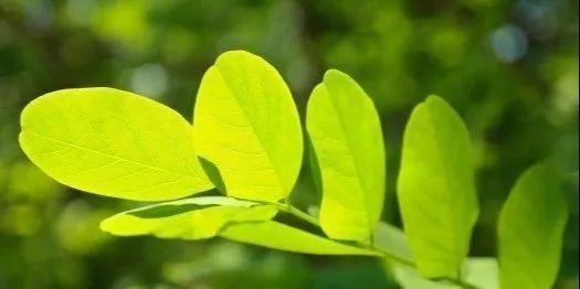 上海@王牌专业就业好，两所录取线不高这6所非“双一流”上海的大学