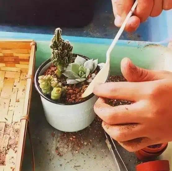 6d4578e14d3b4771836ec678bc1fbb04.jpeg
