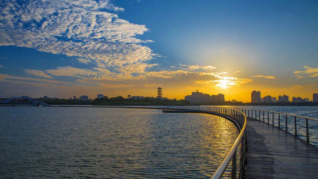 张家港的都会后花园, 打造了最美的生态湿地风景,  网红们的第一站