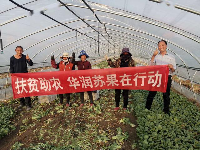 蔷薇村GDP_心有猛虎细嗅蔷薇图片
