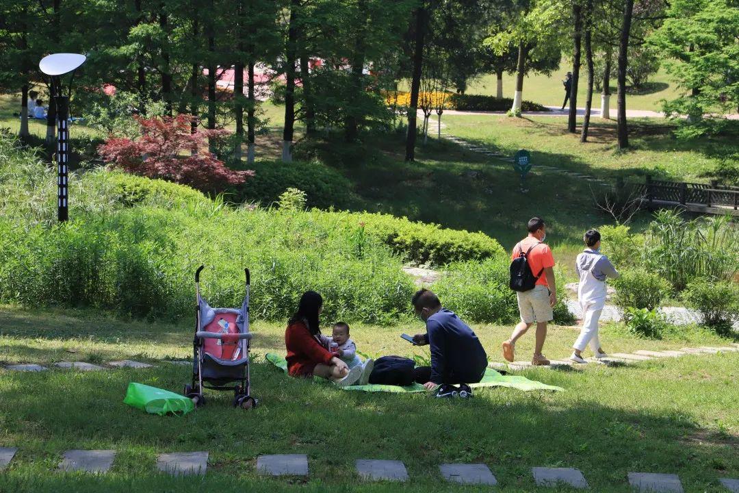 五一来铁山坪,吸氧,赏花,露营,吃鸡