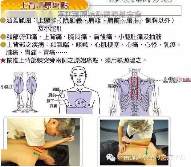 腰痛等按推背部原始点 注意:肩峰部及上臂痛,都是按推肩部原始点;肩部