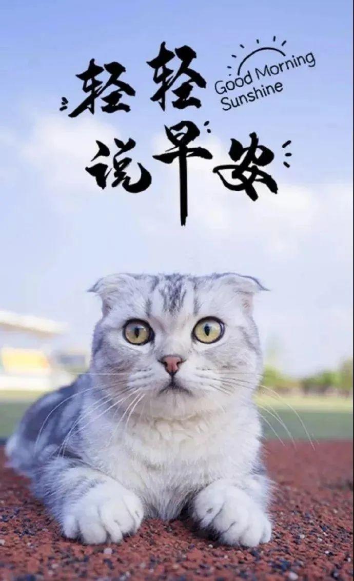 早安心语正能量激励人的语录 每一句都很励志走心!