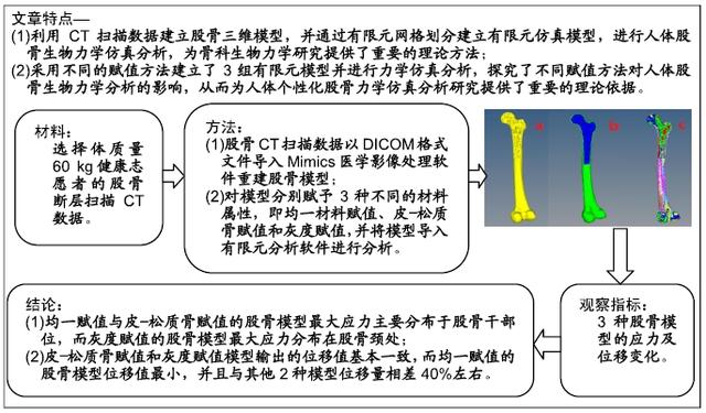 模型,提高分析效率,很多学者在进行生物力学仿真研究中对骨骼模型采