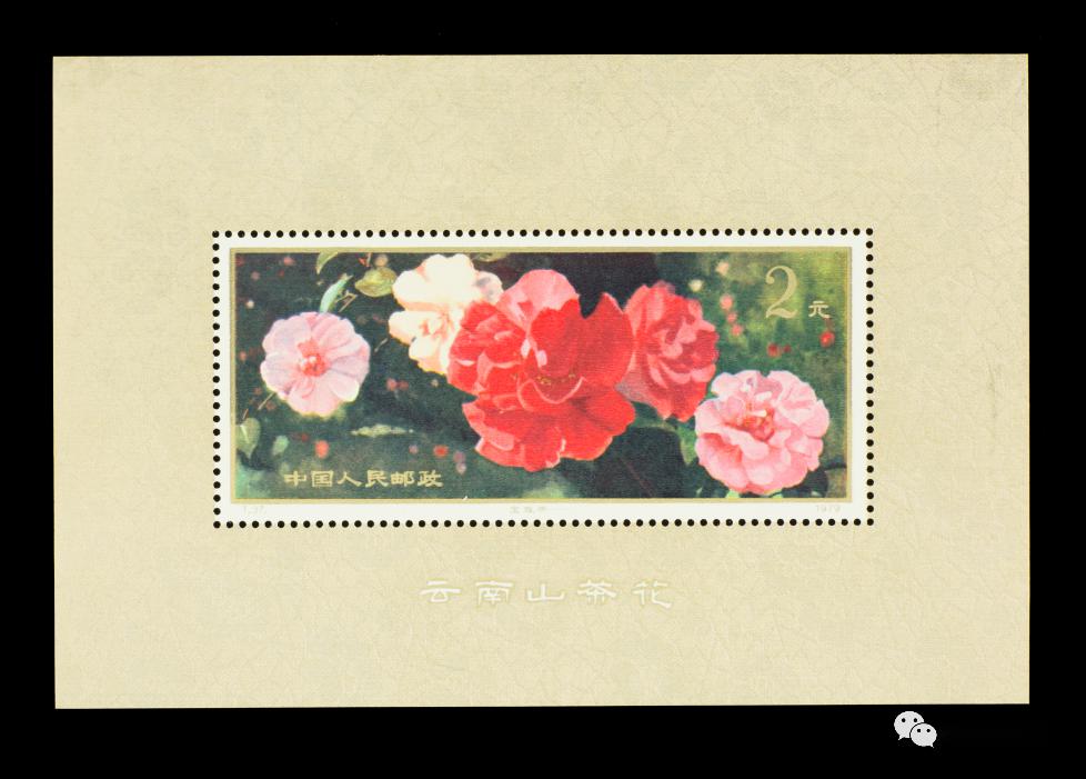 37m 云南山茶花(小型张)