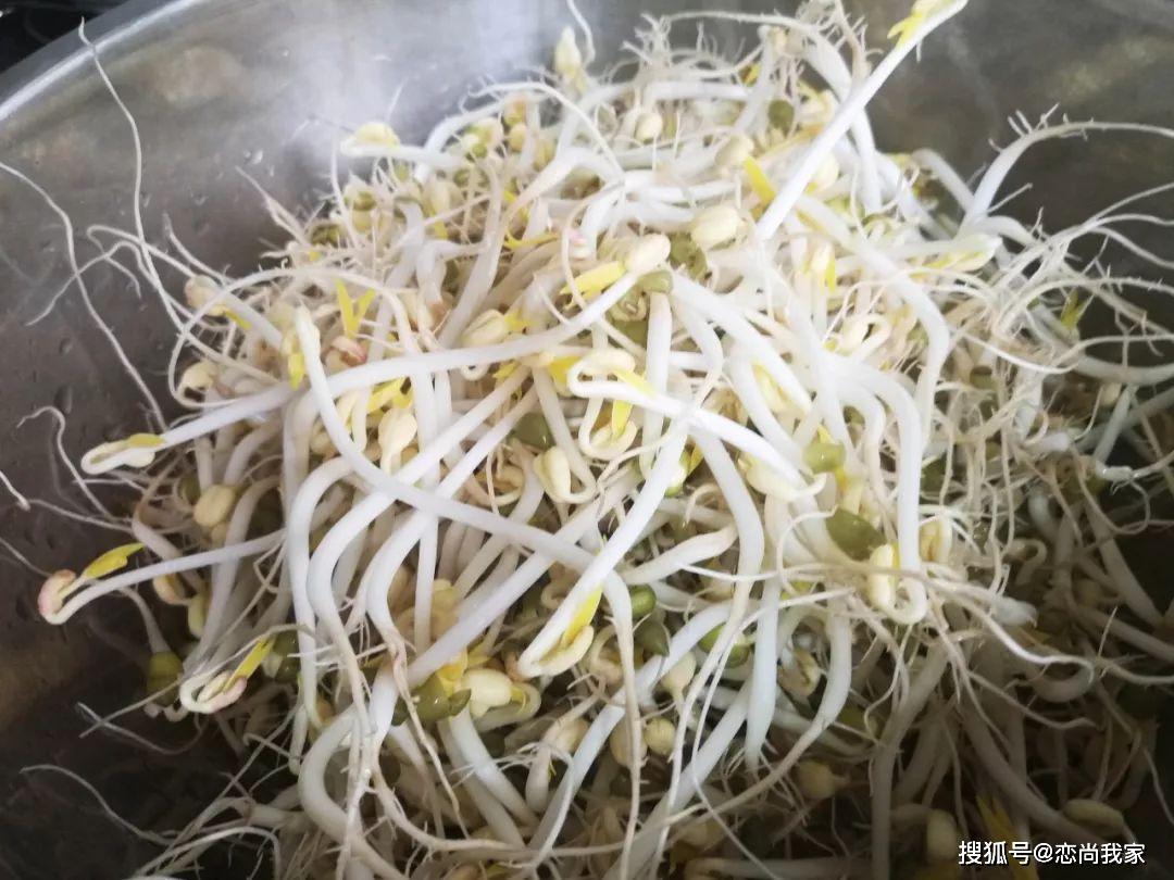 怎么生豆芽的方法 838800a8226b41f0a70765cfb8aa081e.jpeg