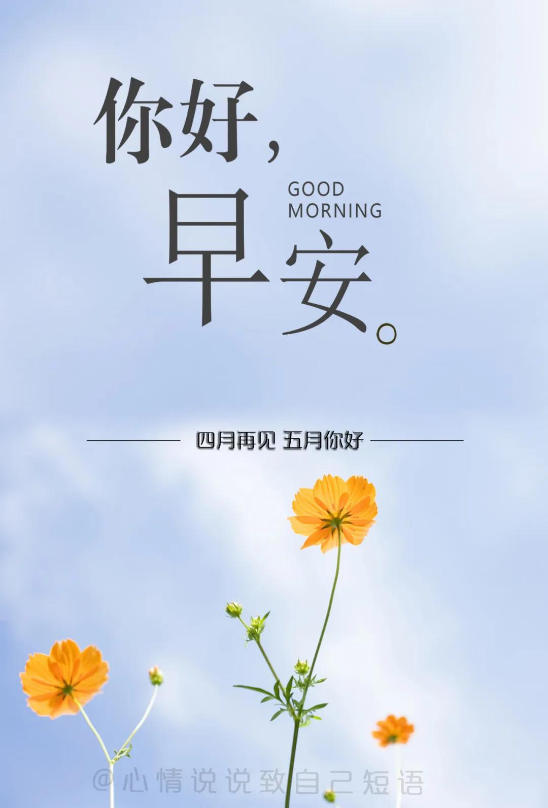 946554aed041491a8689f136e7f744cf.JPG