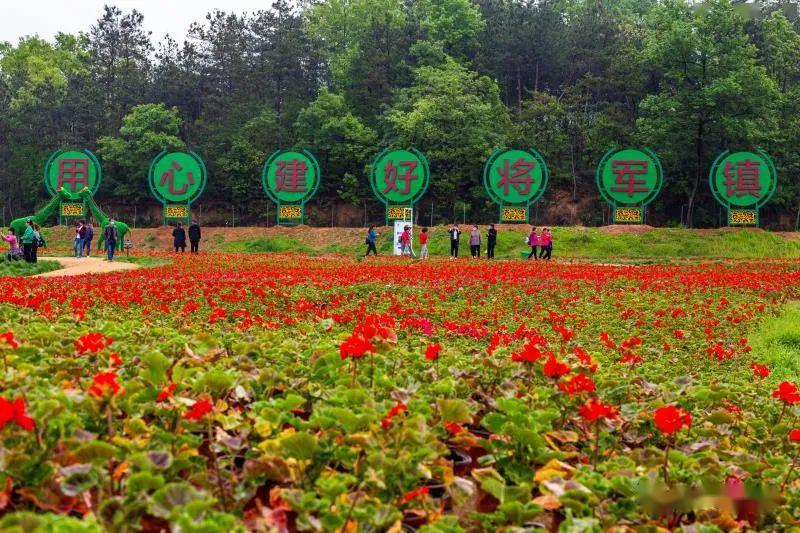 六安新网红打卡点从城区出发只要半个多小时