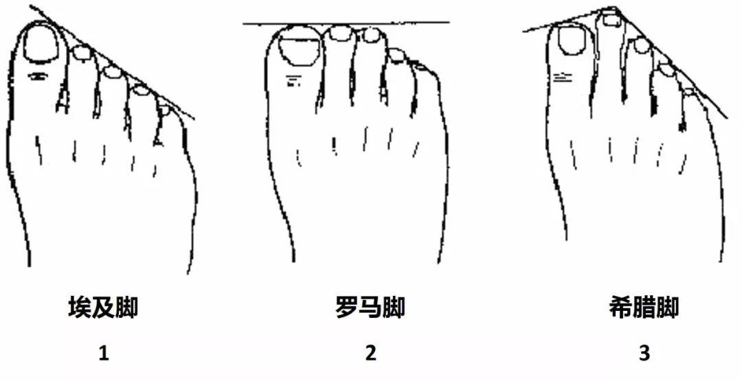 希腊脚,埃及脚,罗马脚?知道区别帮你选对球鞋