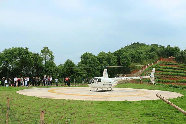 株洲市芦淞区白关镇卦石村(卦石村委会对面)导航名称:华亿庄园公交