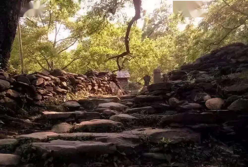 凤庆县古墨村:游客流连美景 村民致富生态