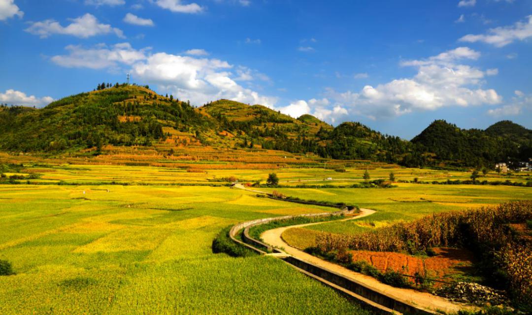 水乡农业旅游景观设计