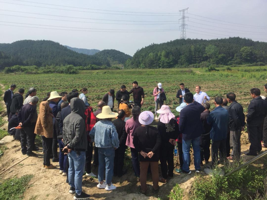 专家深入田间开展种植技术培训助力脱贫攻坚战