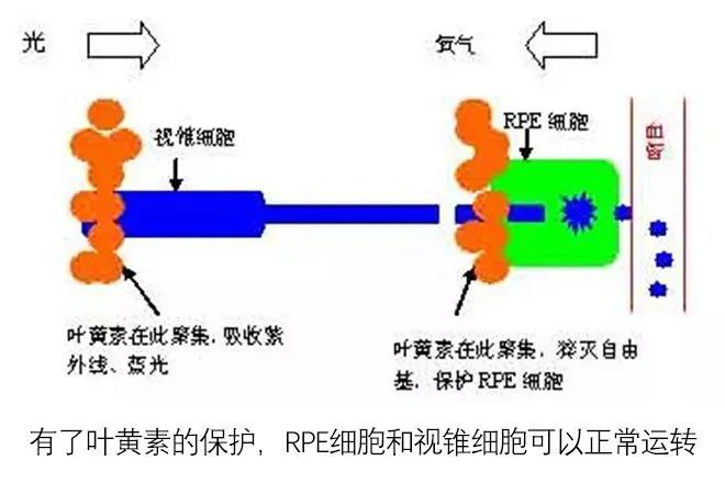 色素的原理_激光治疗色素病变原理