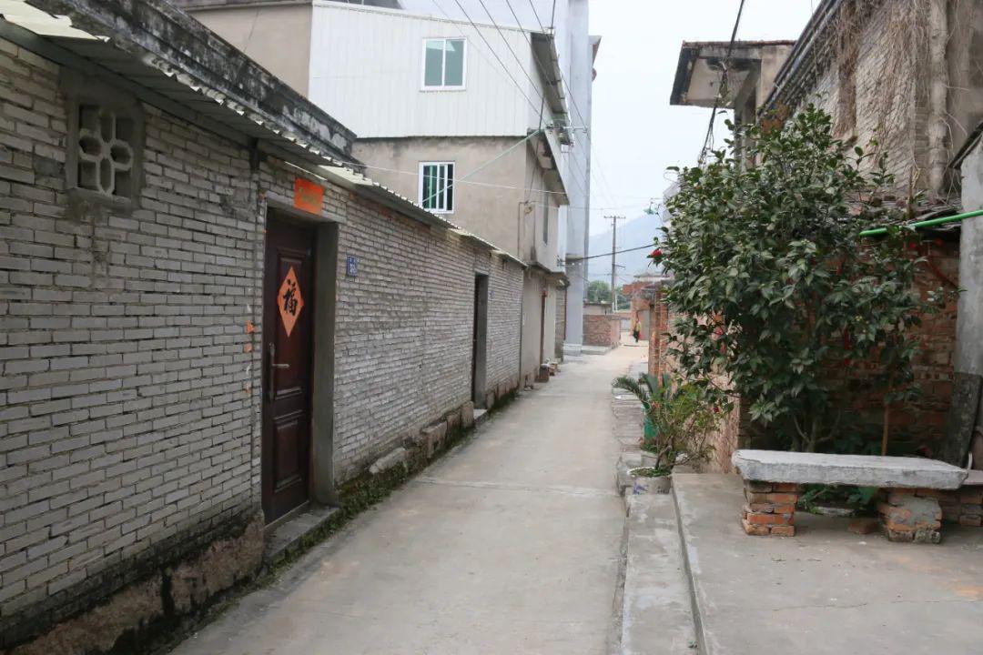 下一步琅岐村计划将进行内河清淤工作并推动生活污水处理美丽田园建设