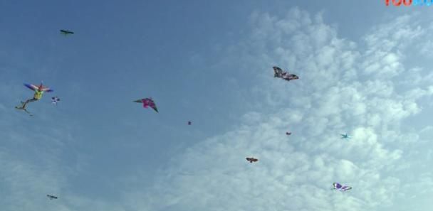 《甄嬛传》甄嬛生日放风筝时，谁注意到颂芝了