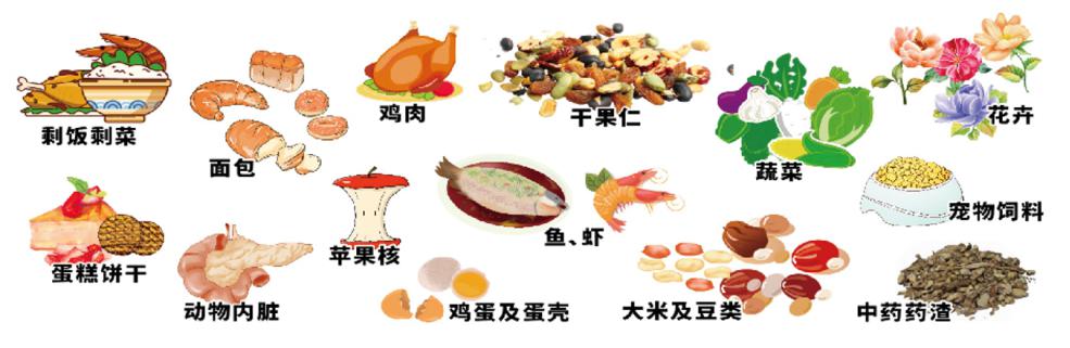 【仁五垃圾分类】垃圾分类小知识之易腐垃圾篇
