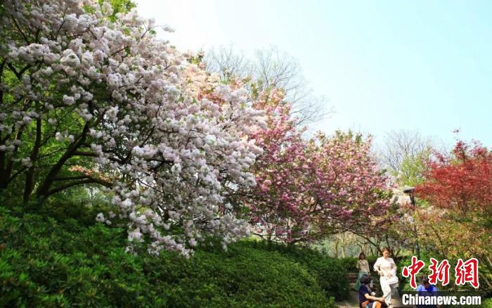 灯光秀杭州10月 d6ef91f43a134d2d967b949e98ecabd1.jpeg