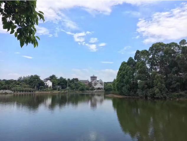 三水乐平乡村旅游精品线路地图新鲜出炉,五一拿走不谢