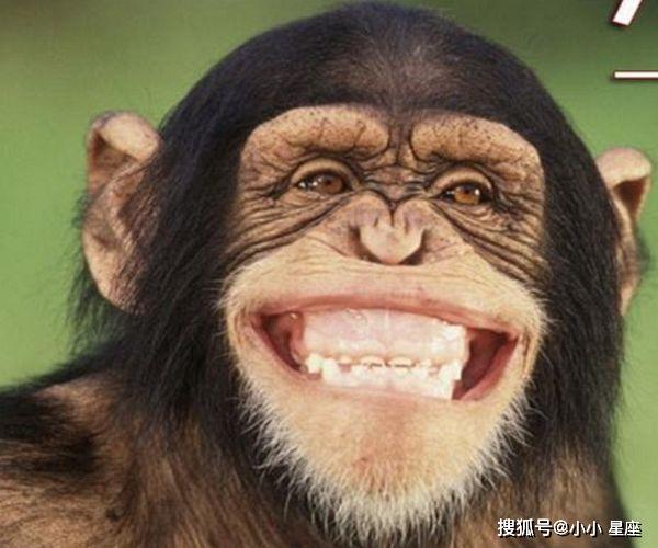 原创5月"天禧之命"的4大生肖,尤其是属猴人,财运旺到大牙笑掉!