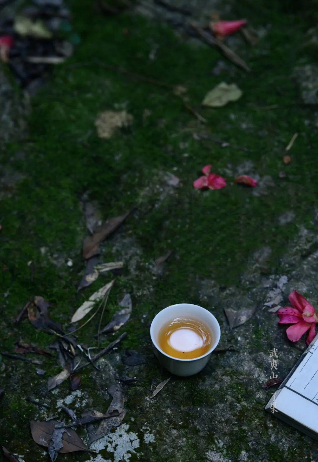 心存正念，自辟福田。