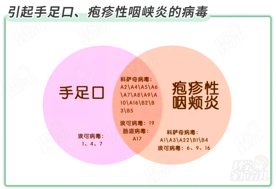 家庭@很多来自家庭，娃最怕的传染源是成人重症手足口