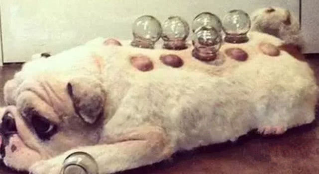 拔罐为什么会紫黑 f03c5f919bd9430da213e737695e8b85.jpeg