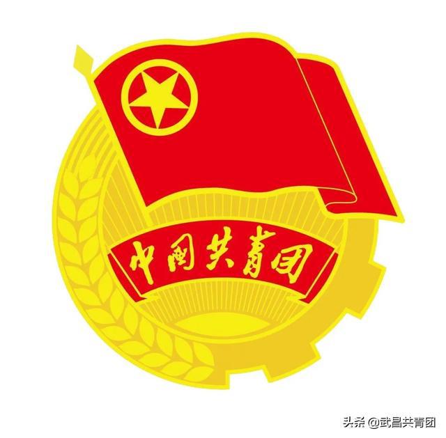 - 团干部的心得感言 - 反馈良好，大部分团干成绩优异，顺利结业。线上团支部培训课程虽然告一段落，但