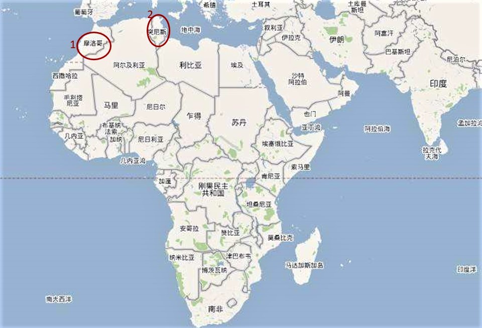 图1,位于非洲北部的摩洛哥(图上所标的 1),突尼斯(图上所标的 2)(示意