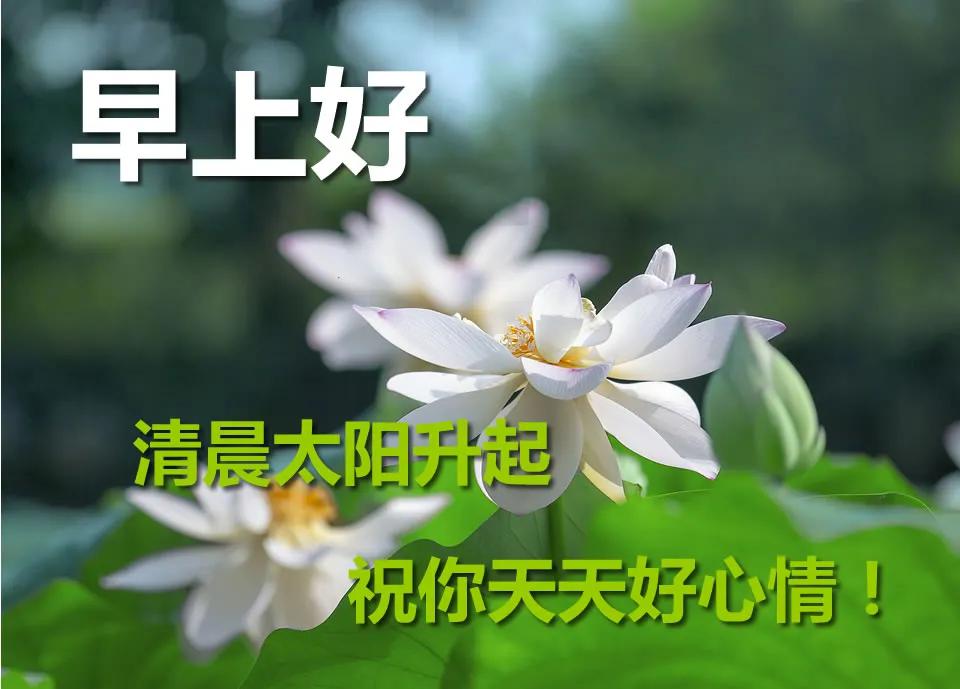 5月早晨好动态图片祝福语 早晨好问候表情2020