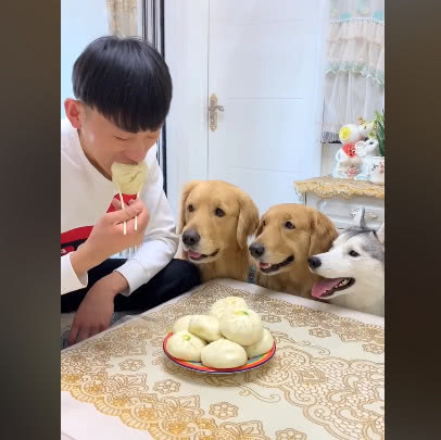 为什么家里不能养三只狗 ff97b5dd733241048c0557b832b1e0a4.jpeg