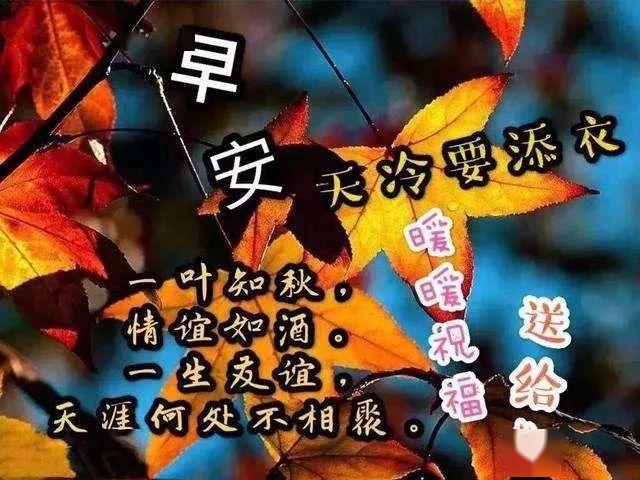 新的五月早上好问候语图片大全 早上好表情动态用语2020