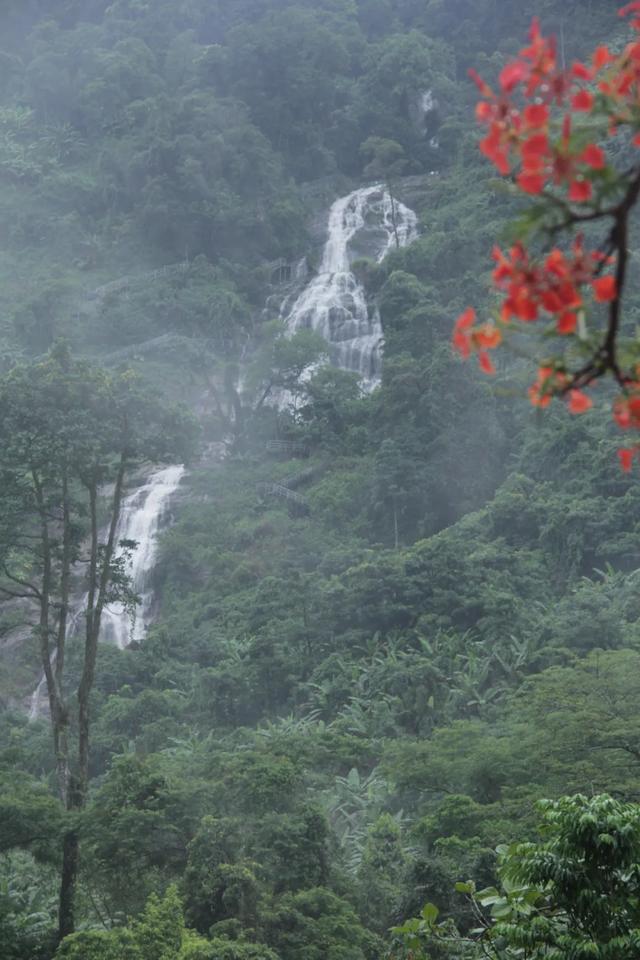 百花岭热带雨林文化旅游区