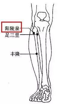 疼痛发生在头两侧,即耳朵上部,就在胆经按摩,例如胆经的风池穴,阳陵泉