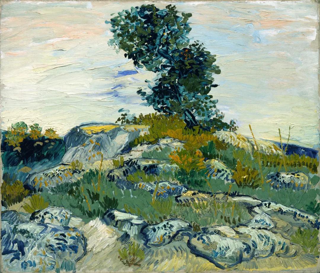 梵高《岩石》布面油画 1888