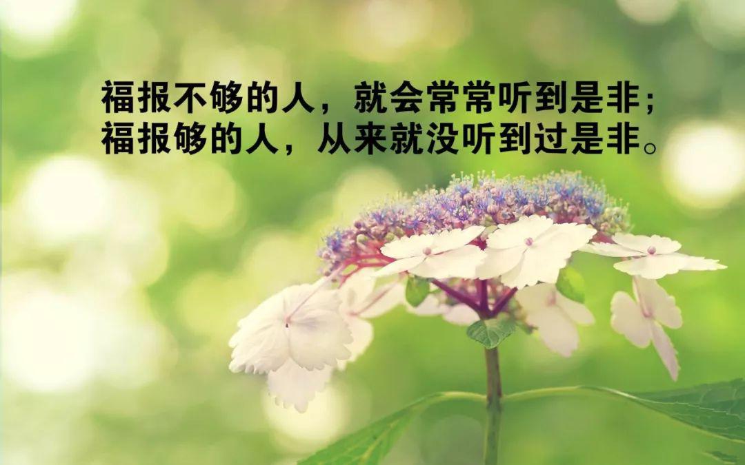 哲学人生感悟的个人展示页