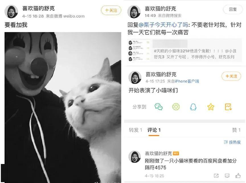 他只是虐猫,与你无关?