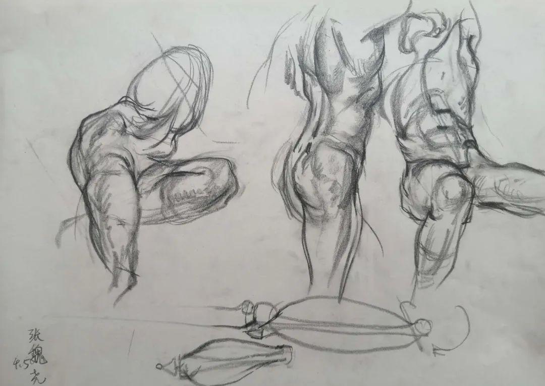 精彩"云"课丨素描全身像/白文忠,陈佳思 · 附中