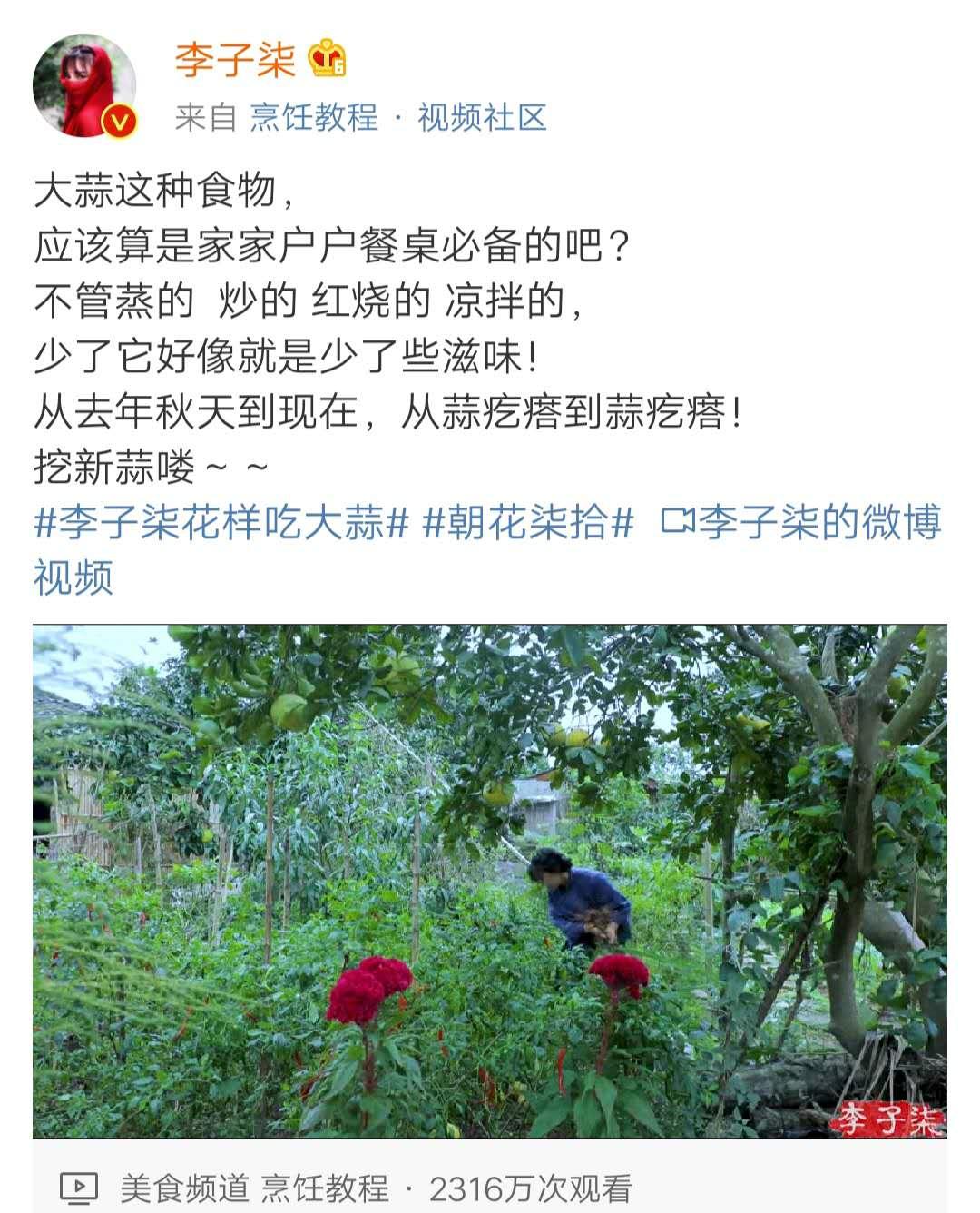 李子柒的岁月静好，其实是逼上梁山