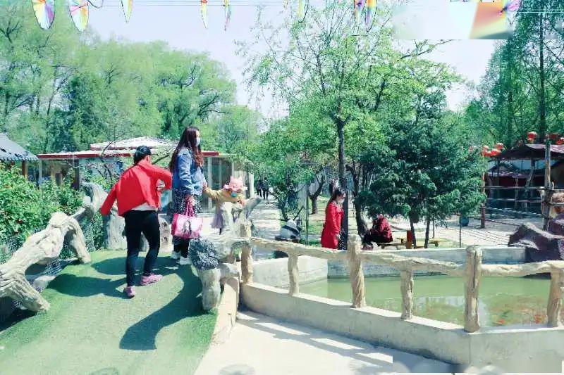 牡丹月必去景点——城市绿肺,东郊公园_临夏