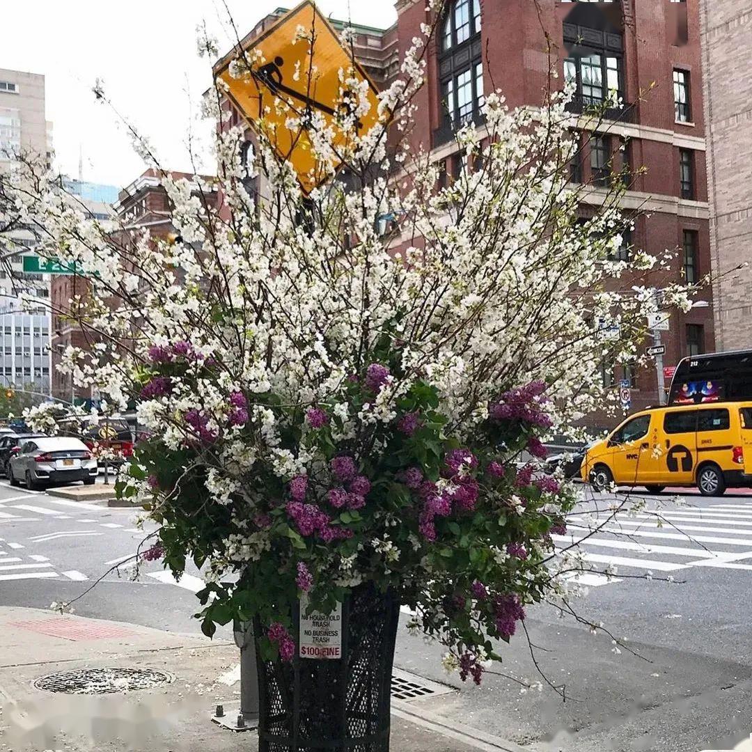 『夏日』穿着印花裙～我和夏日有个约会