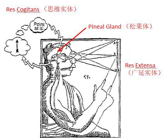 figure42 笛卡尔的二元论:思维实体 vs.