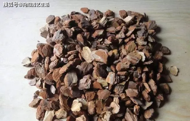 哪里买松树皮最好 302da312fc7641c38a759117421f12e1.png