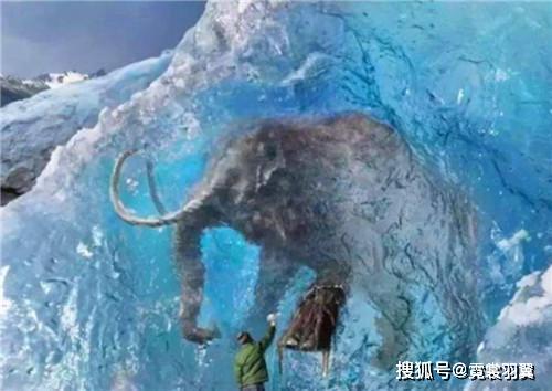 泰坦巨蟒最重有多重 31471e3c0cee48e7ab5a11a783661983.jpeg