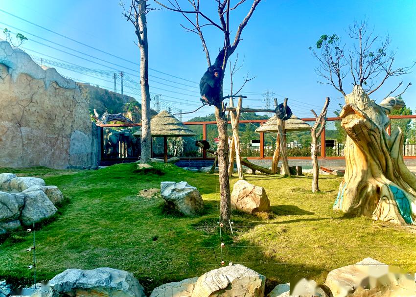 五一出行,就来福清永鸿野生动物世界