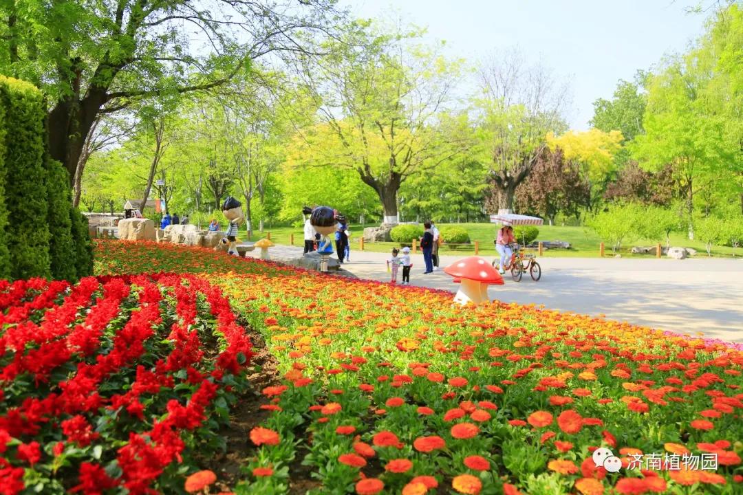 欢乐"五一"节,畅享济南植物园