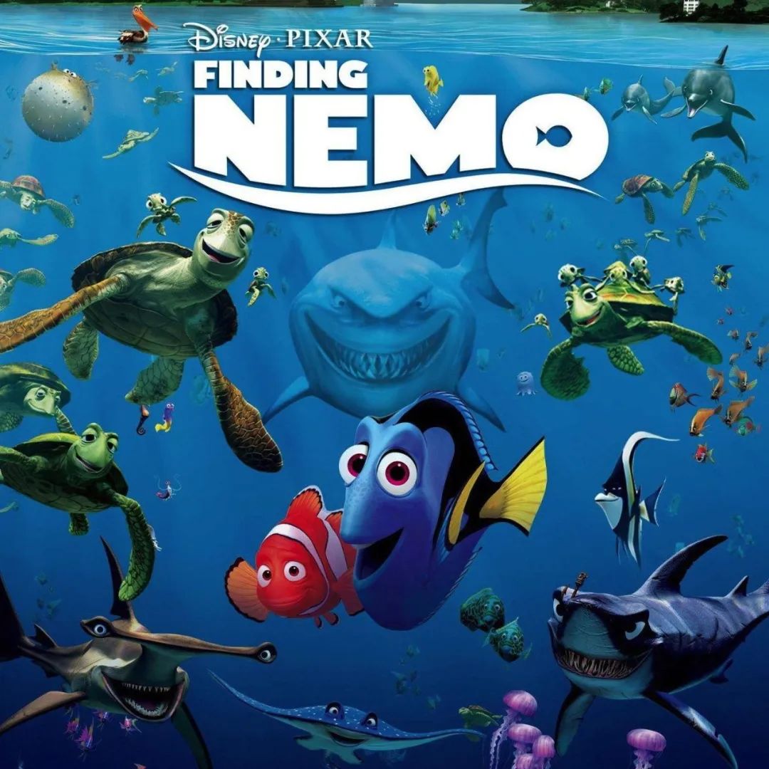 finding nemo 海底总动员